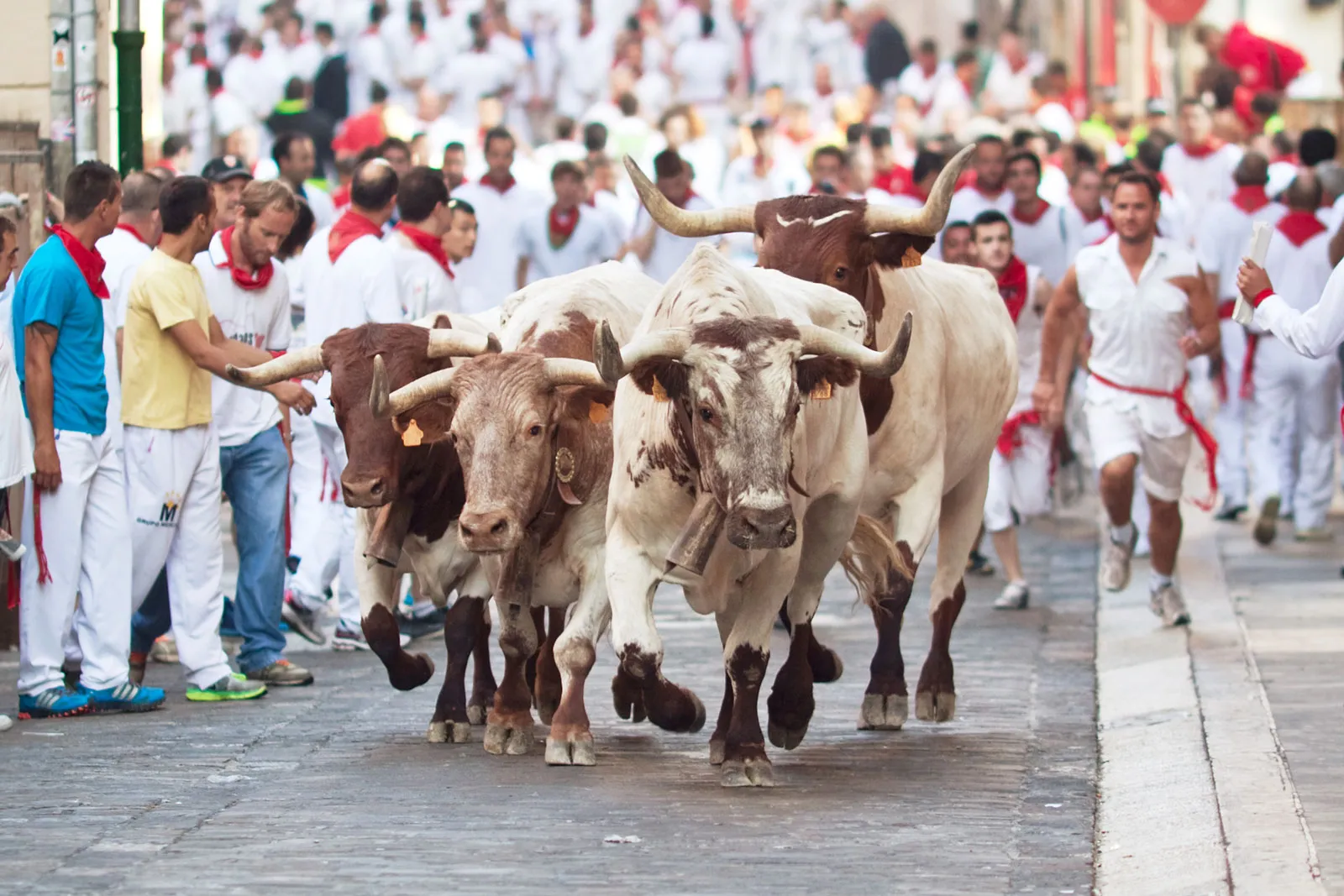 People bulls street San Fermin Pamplona festival