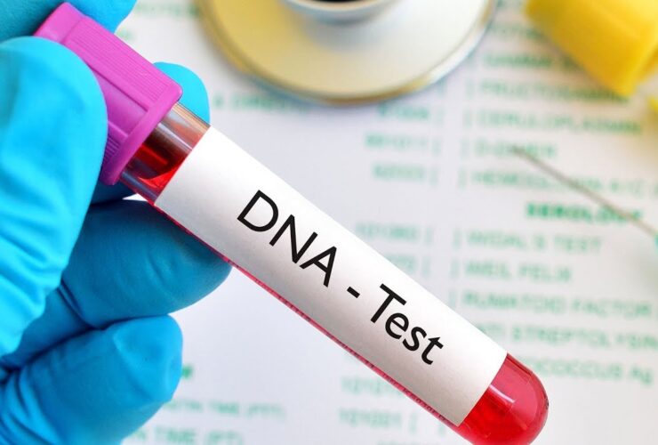 Nearly 26 of Men Tested in Nigeria Are Not Biological Fathers DNA Report